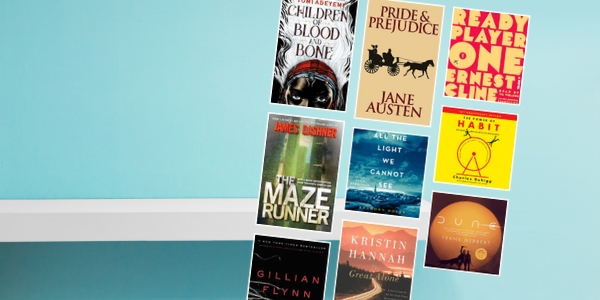 bookshelf with various book covers
