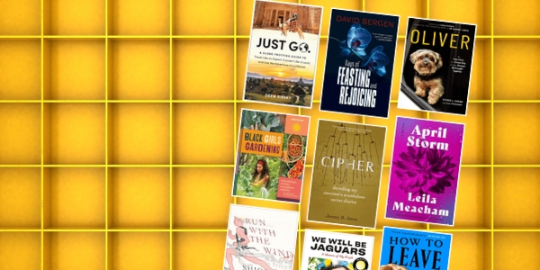 yellow bookshelf with various book covers