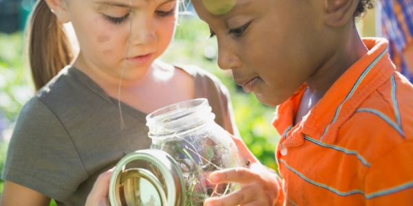 two kids looking into a glass jar with grass inside
