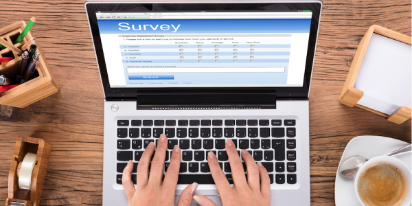 online survey