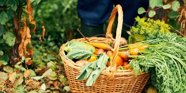 woven basket filled with fresh vegetables