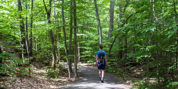 adult carrying a backpack walking through the woods