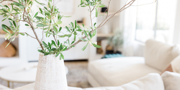 living room with all-white walls, floors, and furnishings