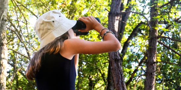 person with binoculars looking up at a tree