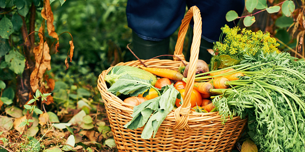 woven basket on the ground filled with assorted vegetables and herbs