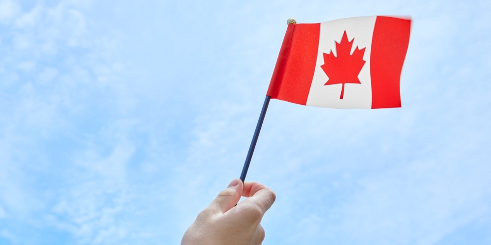 hand holding a small Canadian flag