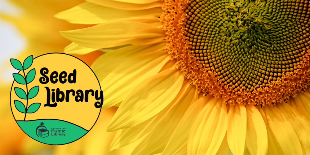 seed library logo superimposed on a close-up of a sunflower bloom 